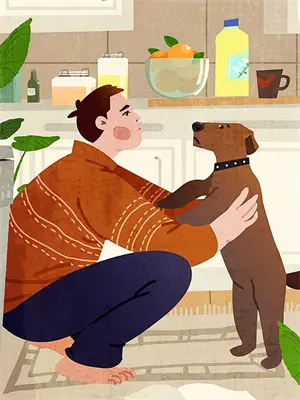 我的巧克力去哪了